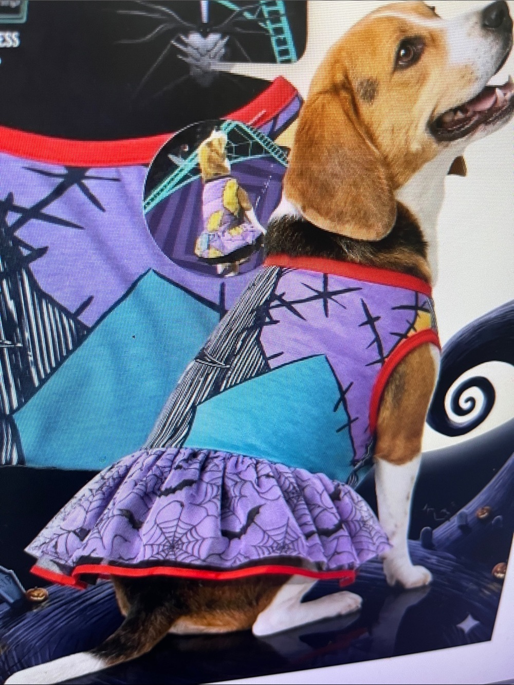 Purple Spiderweb Ruffle Dog Dress with Red Trim - Unbranded